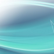 Citrus Cocktail Contest