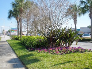 market-southside-plants